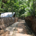 Village walk among the monuments, Bagerhat region