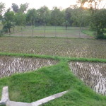 The watery landscape of Bangladesh