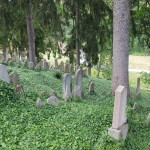 Trebic Jewish Cemetery