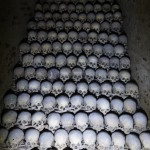 Skulls, Brno ossuary