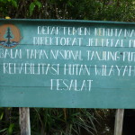 No English - Borneo national park