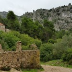 Ruins of Malo Grablje, with ancient olive trees