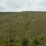 Fallow fields, Velo Grablje