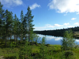 Read more about the article Pine and water: Cruising Eastern Finland