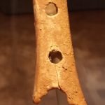 Neanderthal flute, National Museum