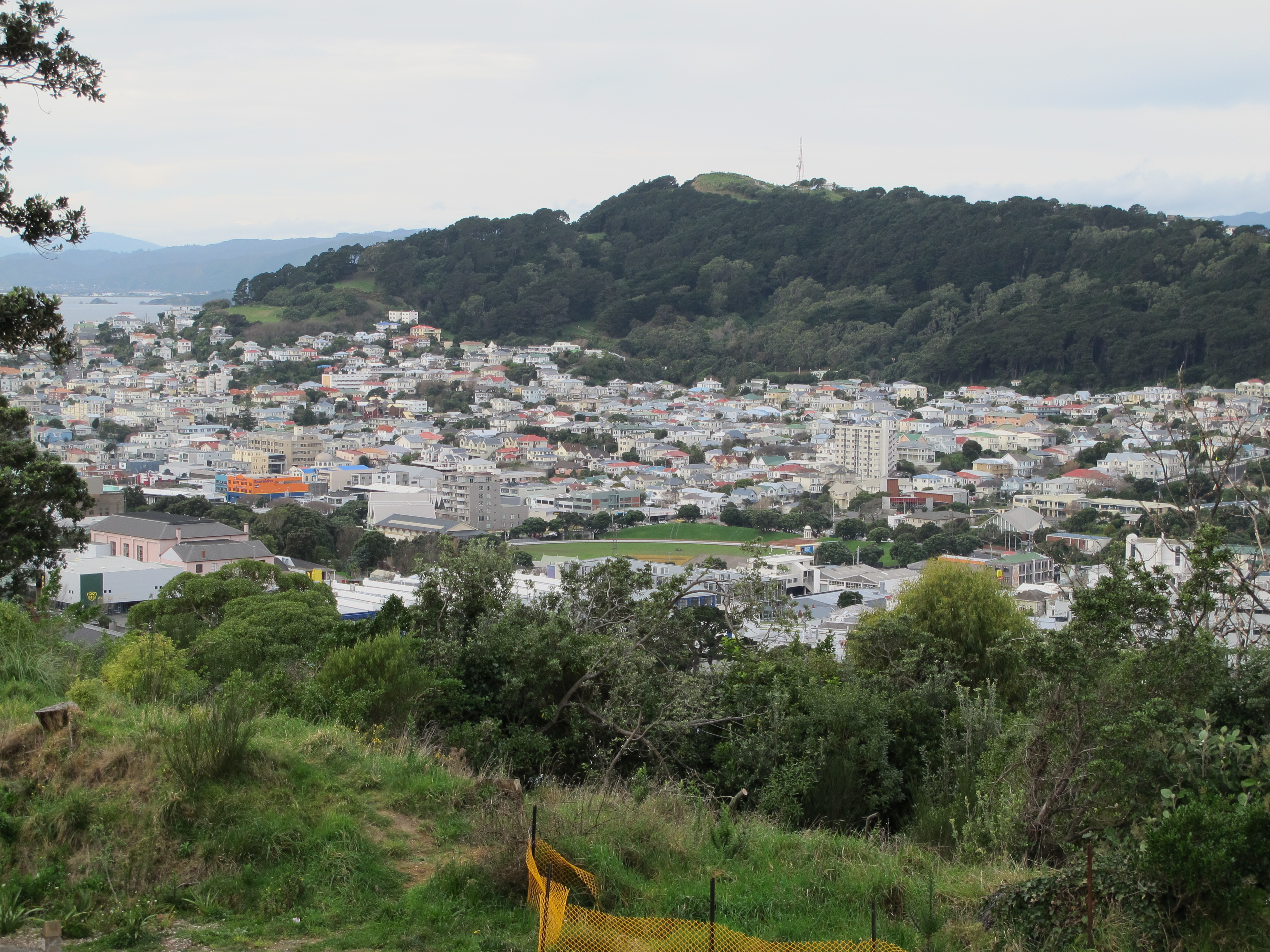 You are currently viewing The Move from Wellington to Melbourne: Uprooting and Replanting, Part 1