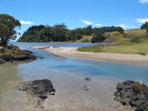 Read more about the article Lava, then Leave It: Round about Rangitoto