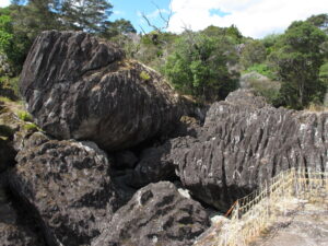 Read more about the article Fluting its Virtues: the Curious Case of the Wairere Boulders