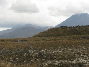 Read more about the article The Shaky Isles quake as Tongariro erupts