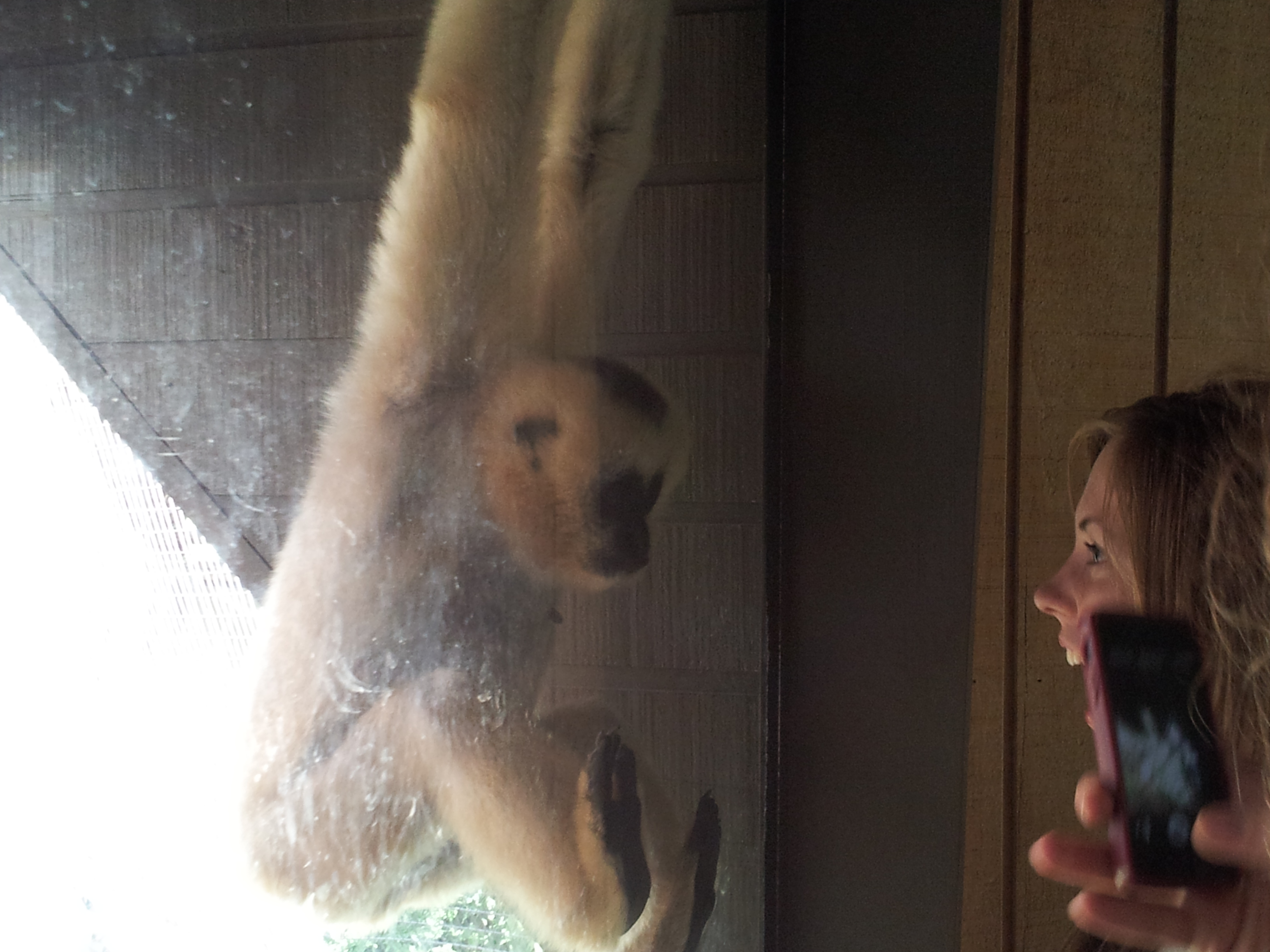 You are currently viewing Habitats Worth Forming: the Melbourne Zoo