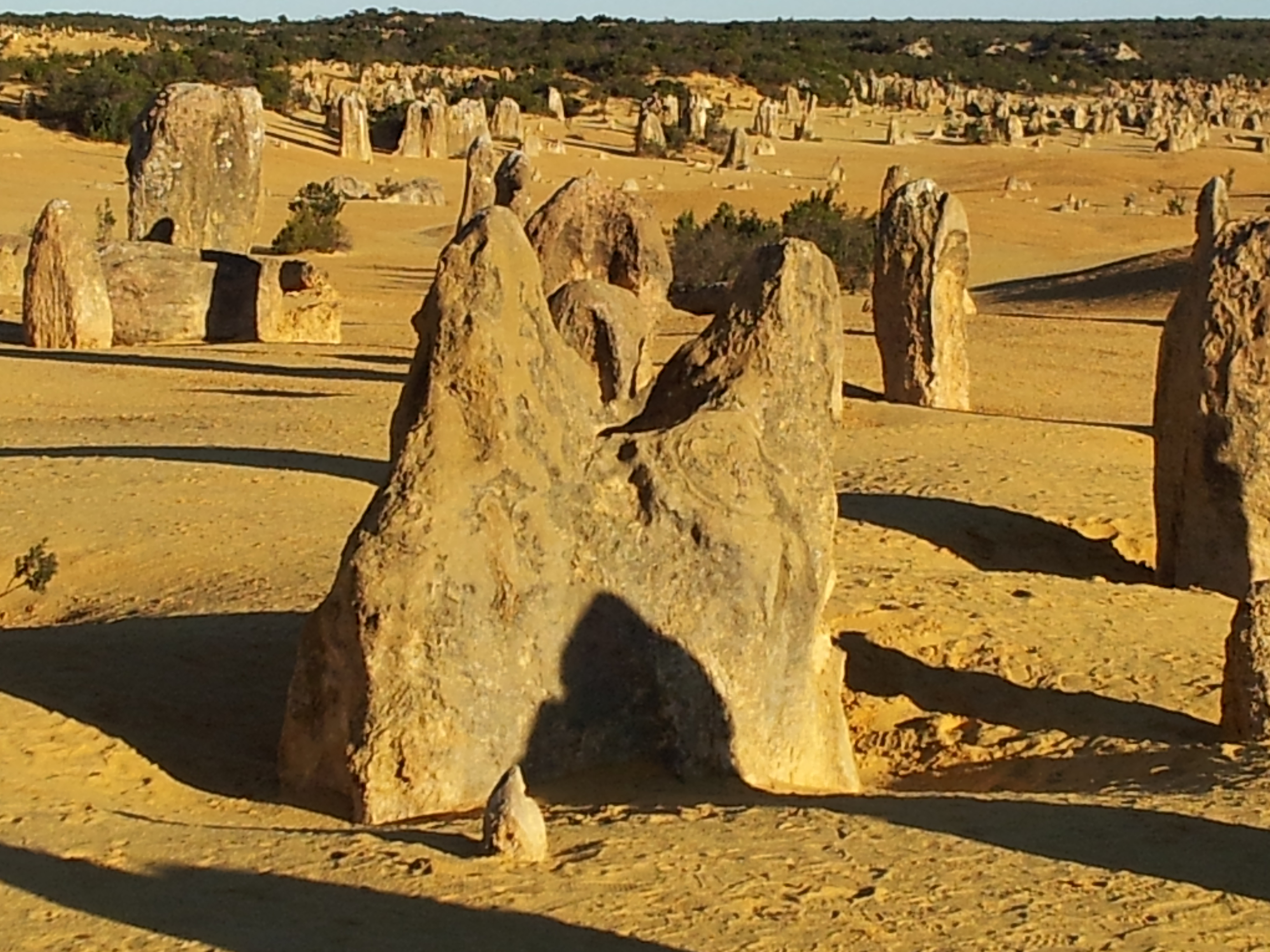 You are currently viewing Imagine That: The Wonder of the Pinnacles