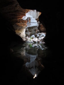 Read more about the article Strangers in a Tribal Land: with a Gooniyandi at Mimbi Caves