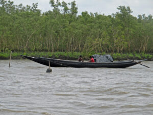 Read more about the article Going with the Flow: Life at Sunderbans