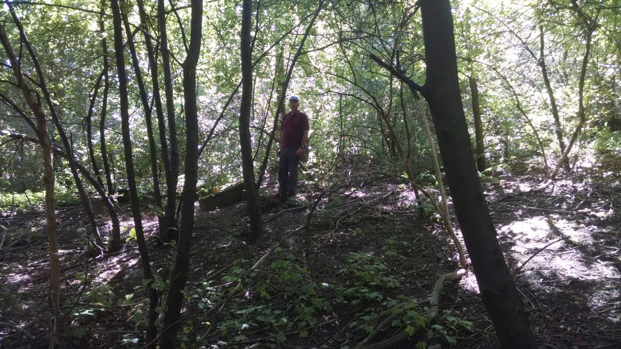 Finding hundred year old graves from the Lubin cemetery upon a densely forested hill