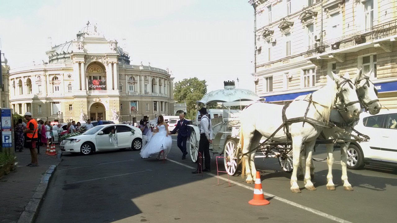 Wedding cheer in front of Odessa opera house