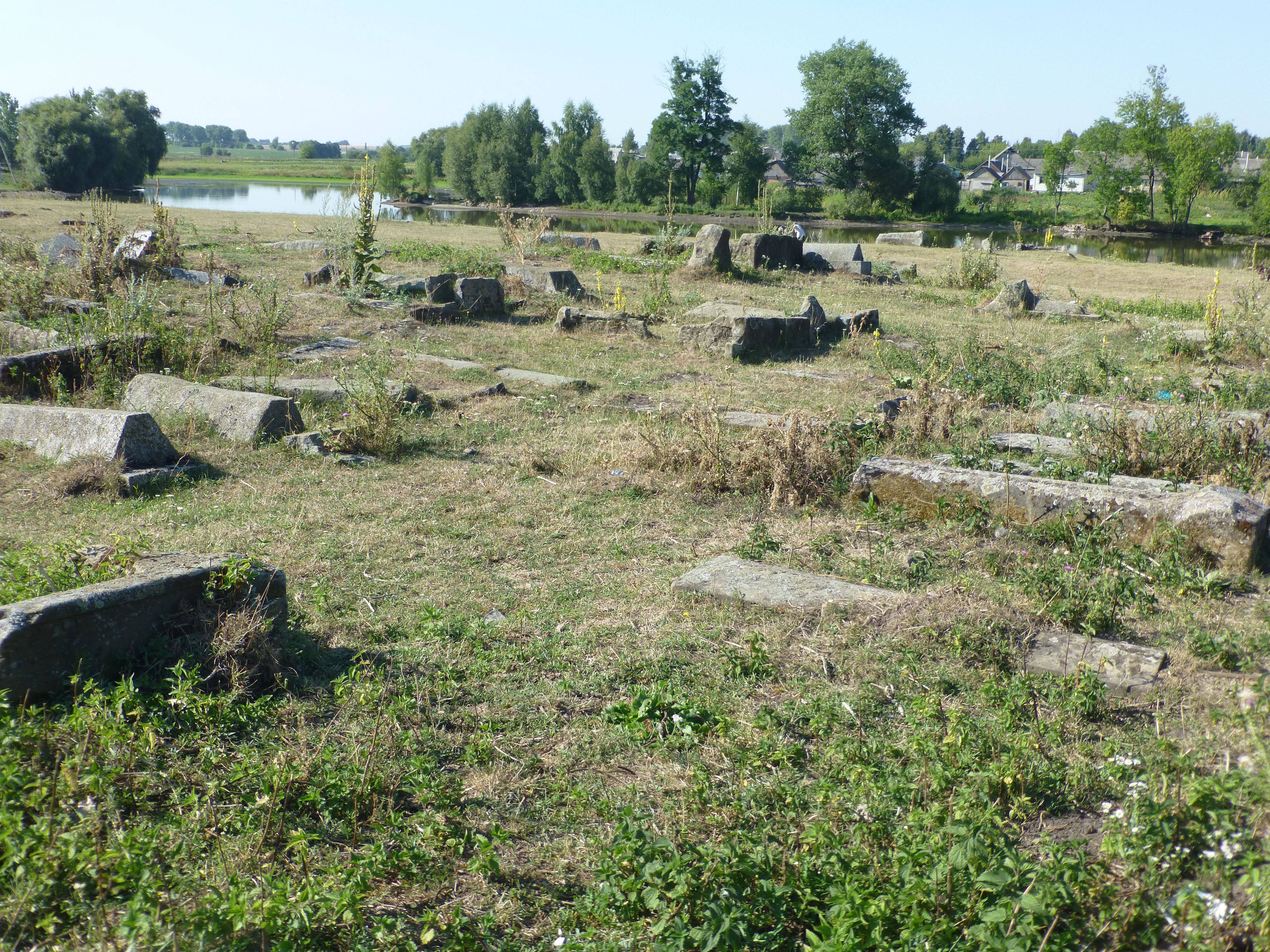 Cemetery remnants and gravestones, Shepetivka
