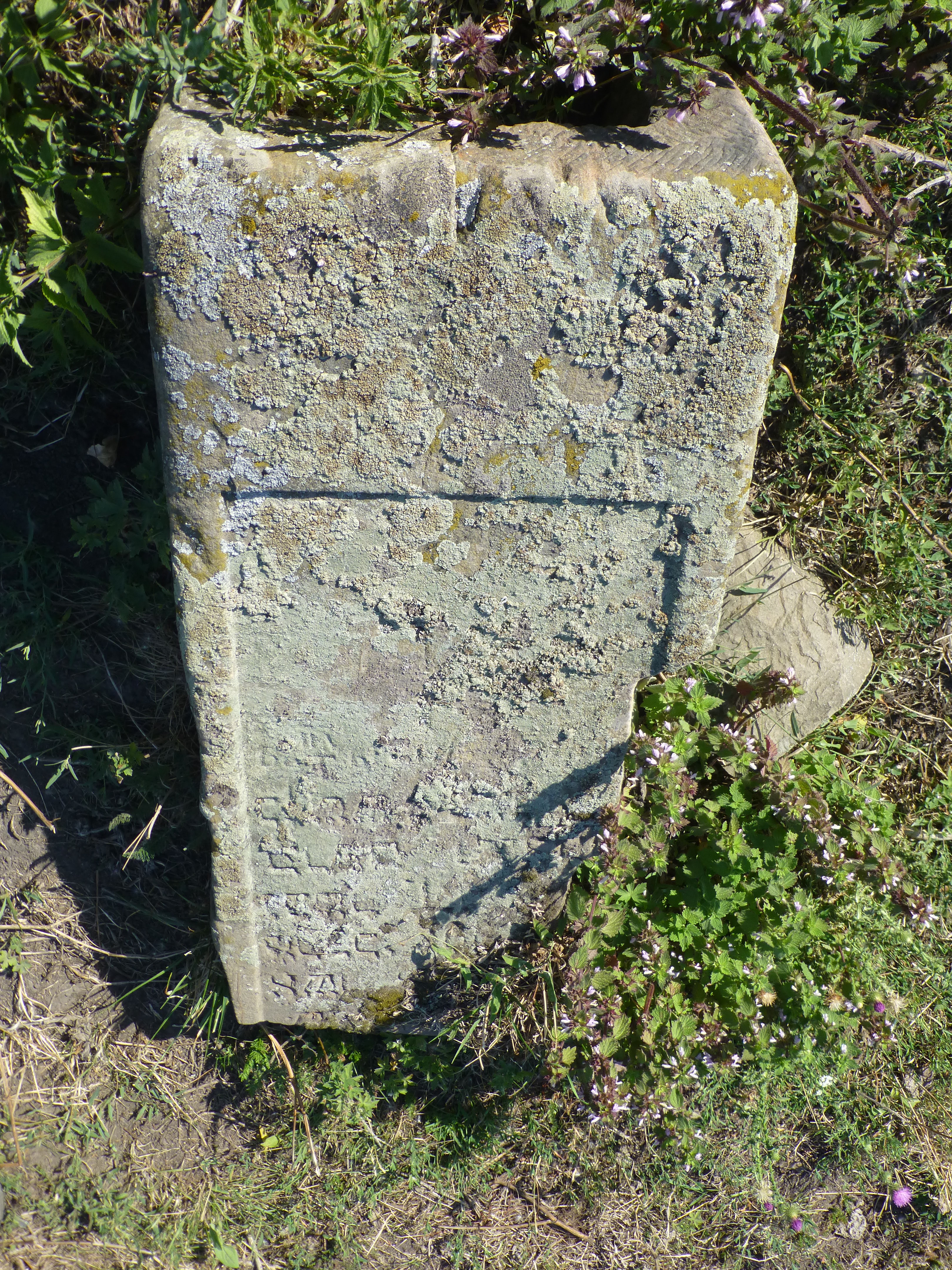 Gravestone, Shepetivka cemetery