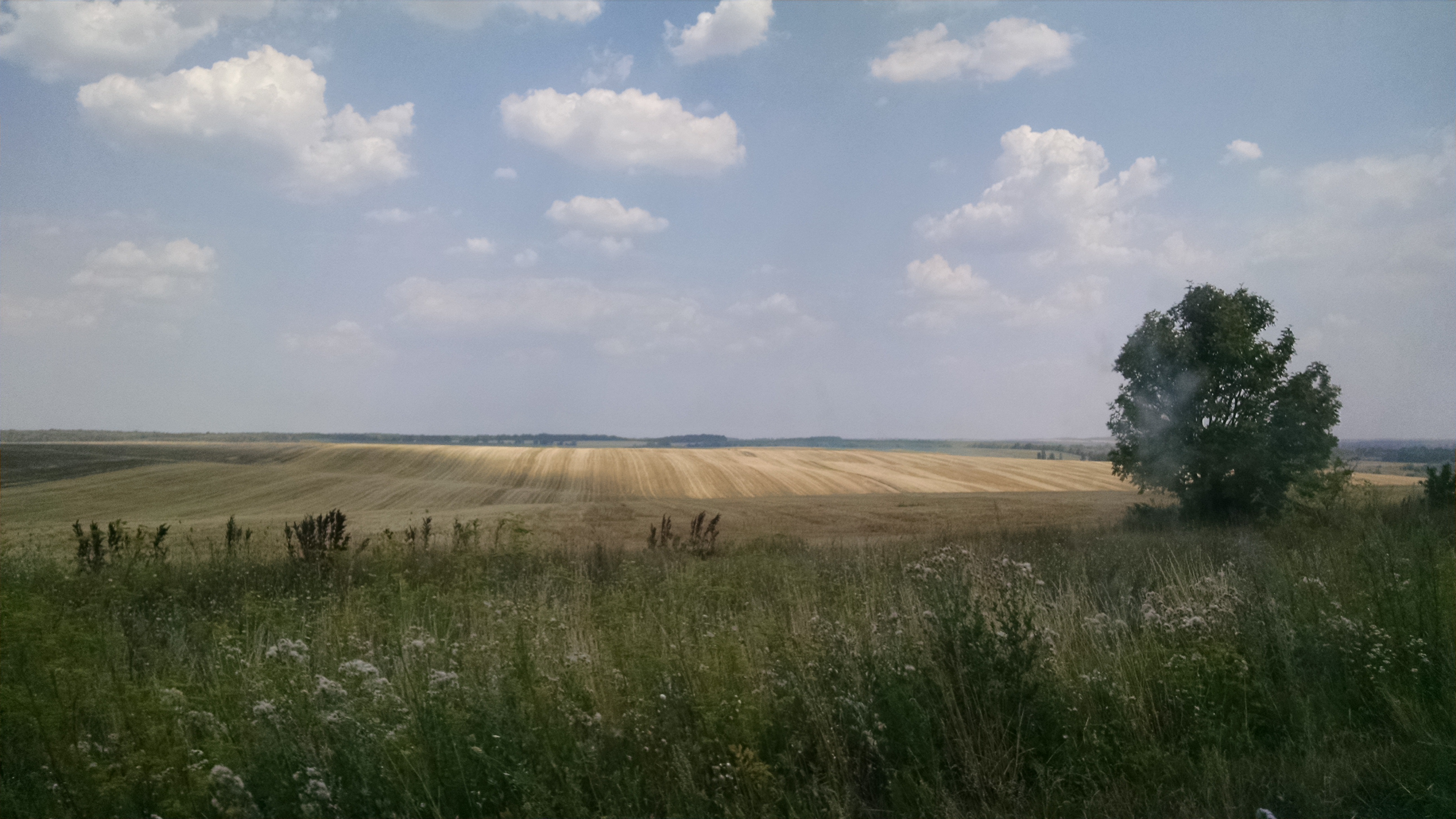Ukrainian breadbasket - for hundreds of kilometers