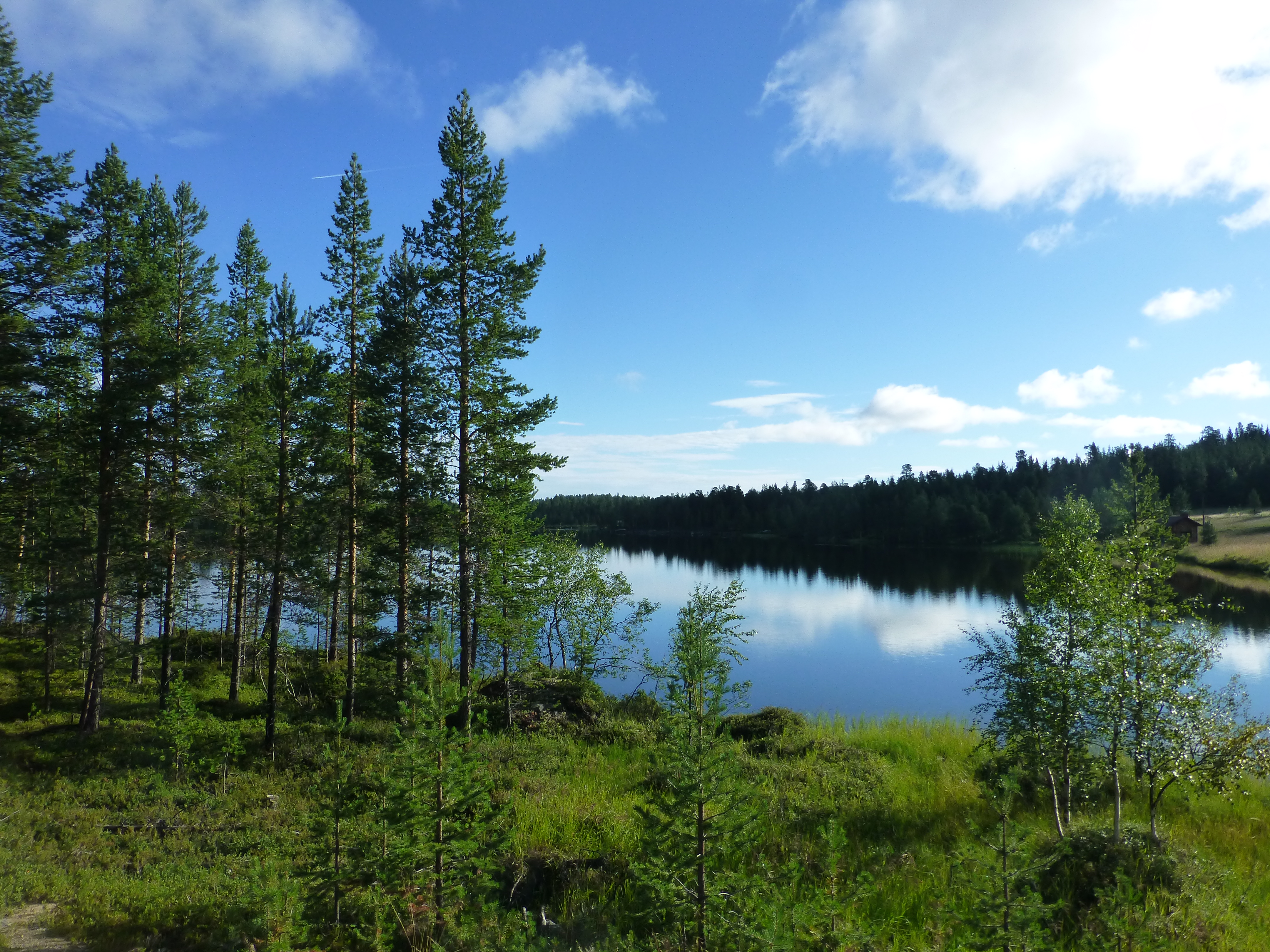 You are currently viewing Pine and water: Cruising Eastern Finland