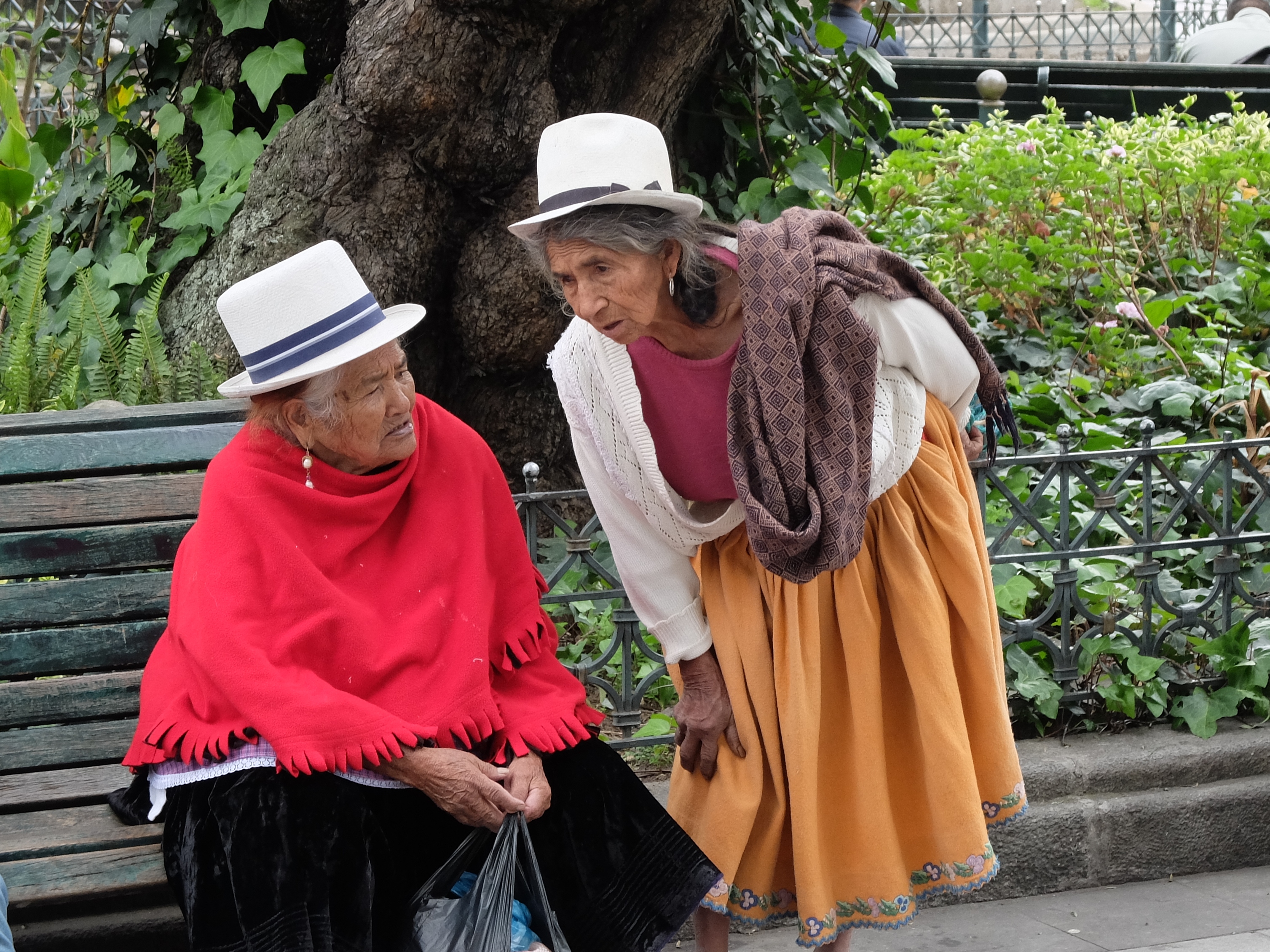 You are currently viewing Fitting in: Gringolandia in Ecuador