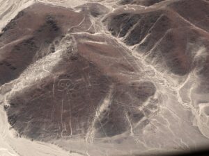 Read more about the article Lines in the sand: signs of the Nazca people