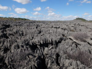 Read more about the article Tsingys and furrows of outrageous limestone