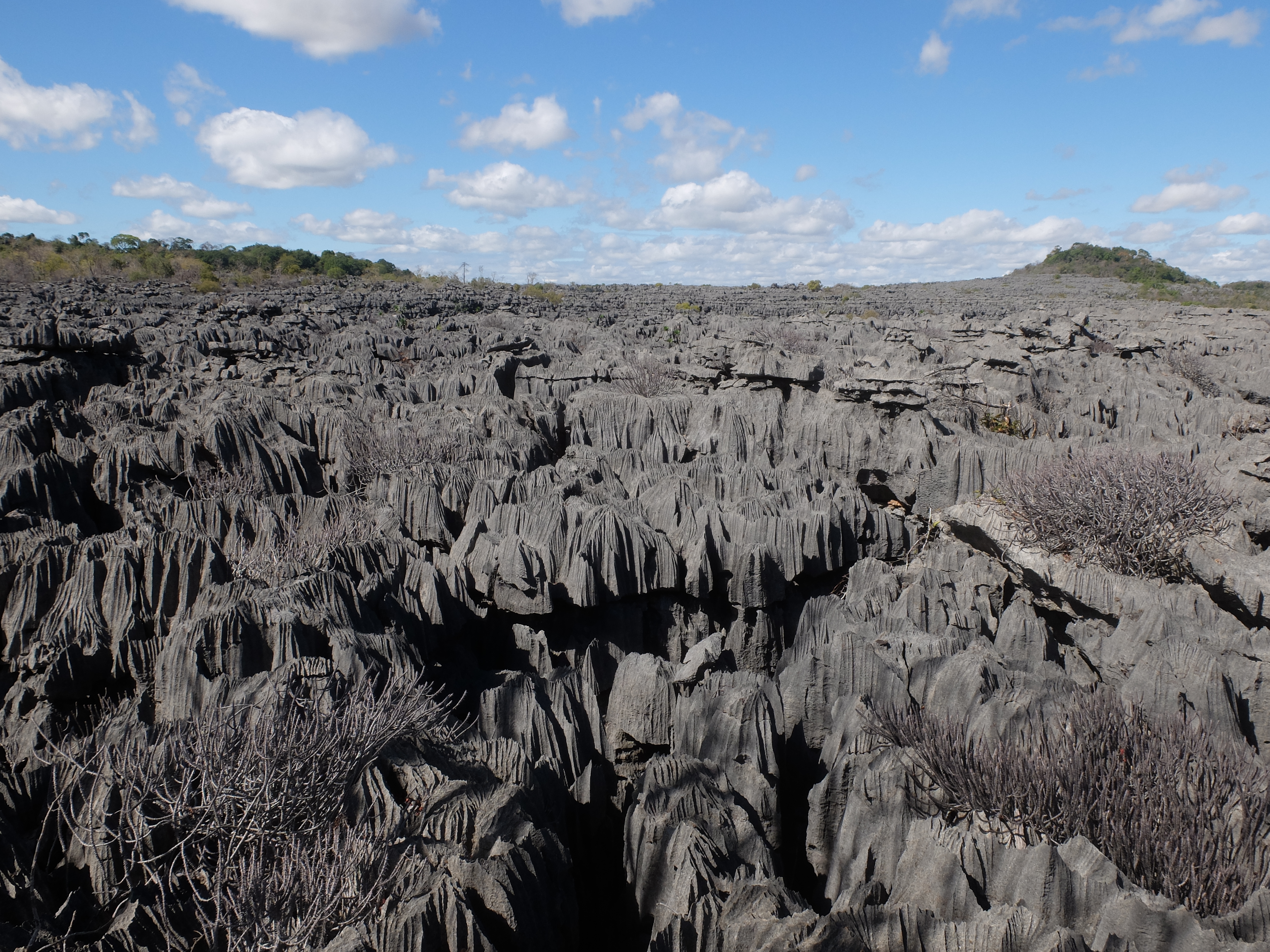 You are currently viewing Tsingys and furrows of outrageous limestone