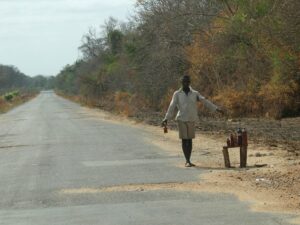 Read more about the article Road Hogs – and Chickens – of the N1