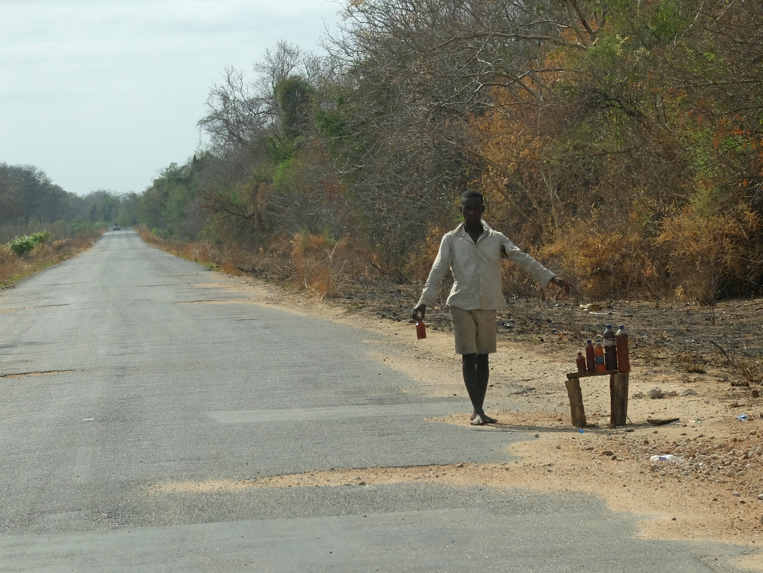 You are currently viewing Road Hogs – and Chickens – of the N1