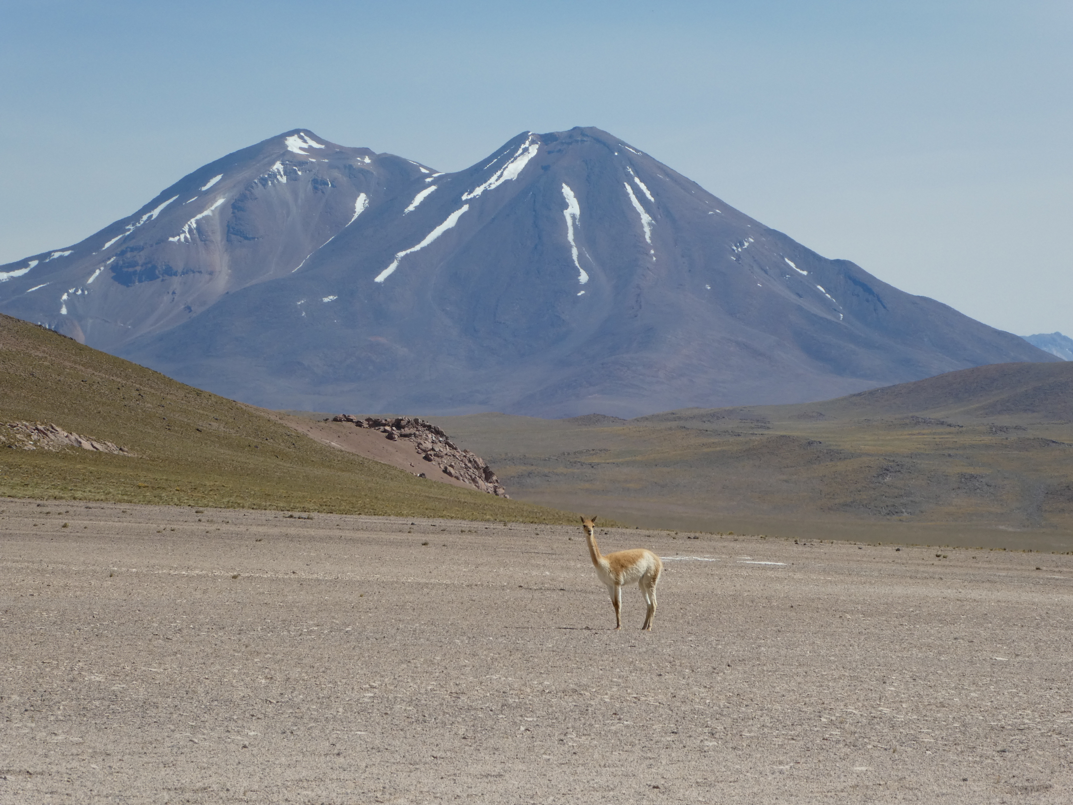 You are currently viewing High and salty at Atacama