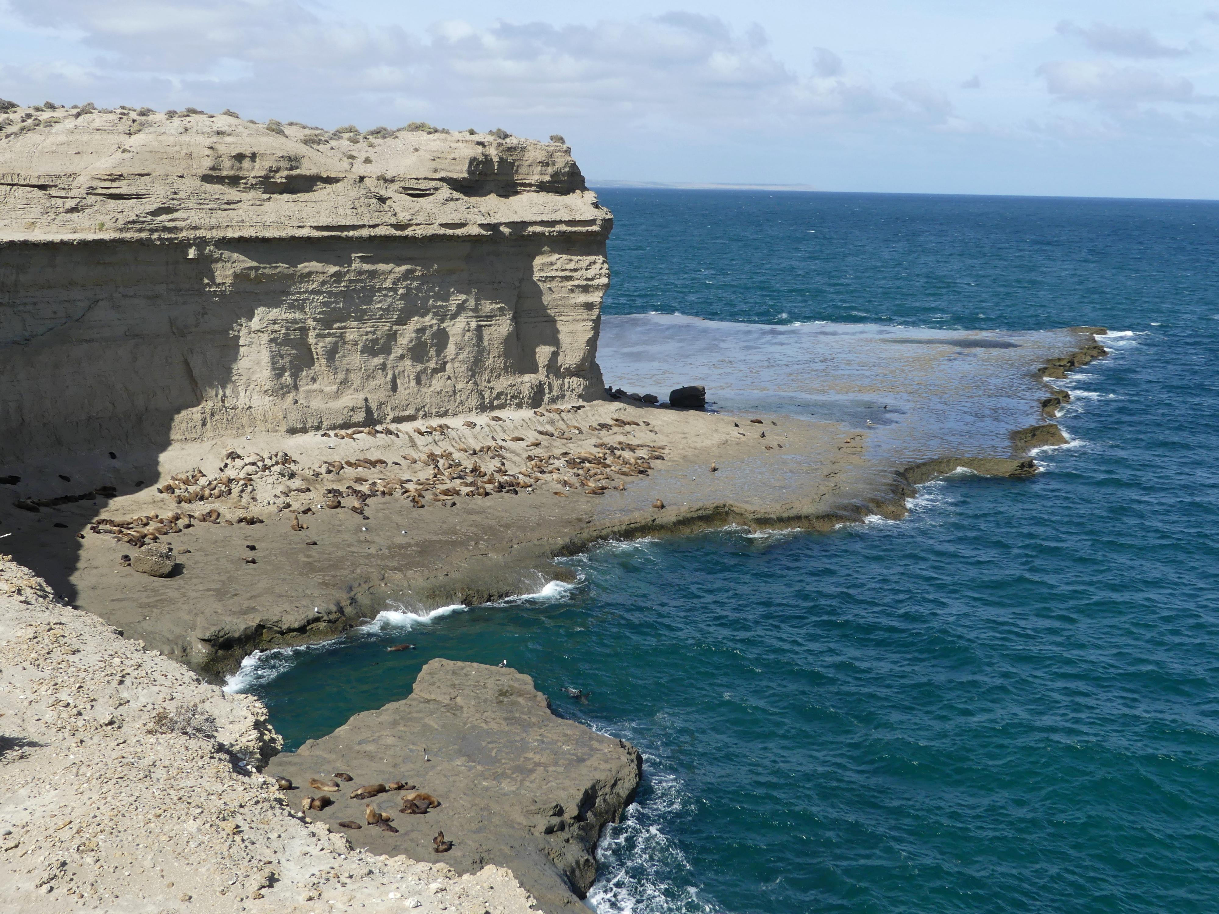 You are currently viewing Welsh, whales and Titanosaurs in Argentina