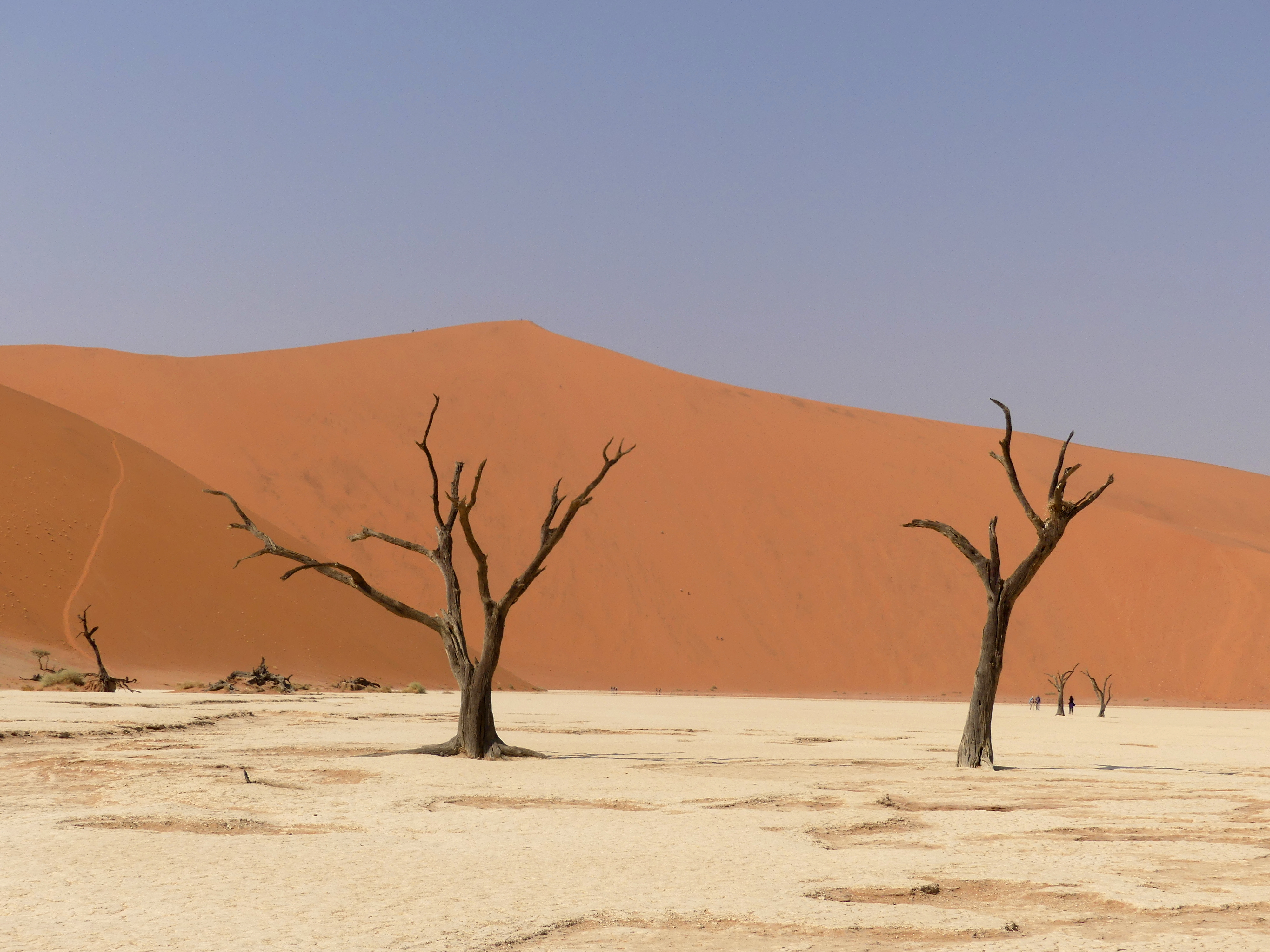 You are currently viewing The Dunes of Namibia