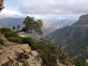 Read more about the article Timeless landscape and ancient imprints in southern Eritrea