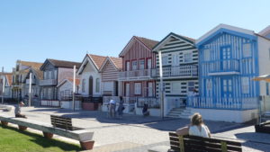 Read more about the article Peninsula Pleasures: Aveiro Bay Contrasts
