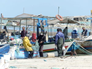 Read more about the article Djerba: A stimulating world apart
