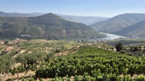 Read more about the article Doing the Douro