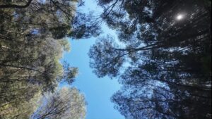 Read more about the article Rocking River Weekend near Coimbra