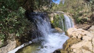 Read more about the article An Early Spring Falls Hike