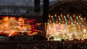 Read more about the article Sting on the Beach